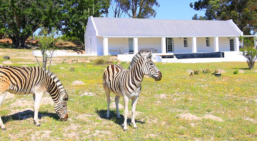 Arnion - Nature Retreat Clanwilliam Kültér fotó